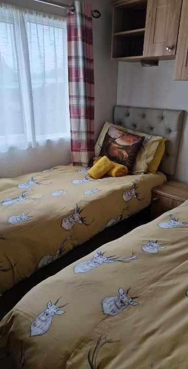 Cairn View Chalet Βίλα Aviemore Εξωτερικό φωτογραφία